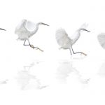 Image by nature and landscape photography class instructor, Bob Coates.