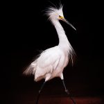 Image by nature and landscape photography class instructor, Bob Coates.