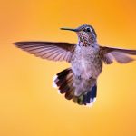 Image by nature and landscape photography class instructor, Bob Coates.