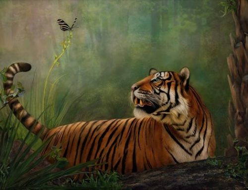 Photoshop Painting with Sandra Pearce